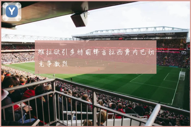 维拉欲引多特前锋吉拉西费内巴切竞争激烈